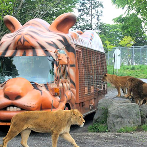 富士サファリパーク「ジャングルバス」