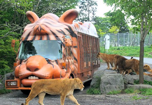 富士サファリパーク「ジャングルバス」