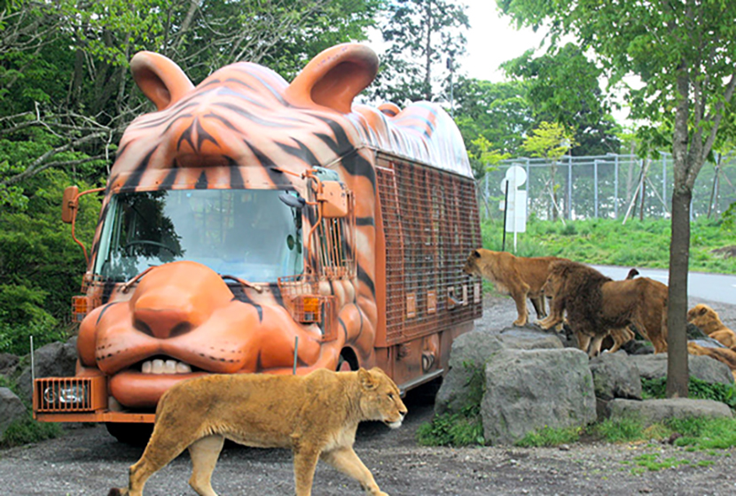 富士サファリパーク「ジャングルバス」